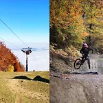 Golden Fox Pohorje * Maribor