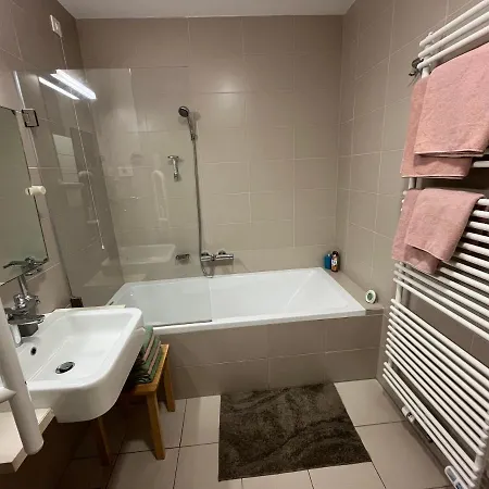 Apartment Golden Fox Pohorje *