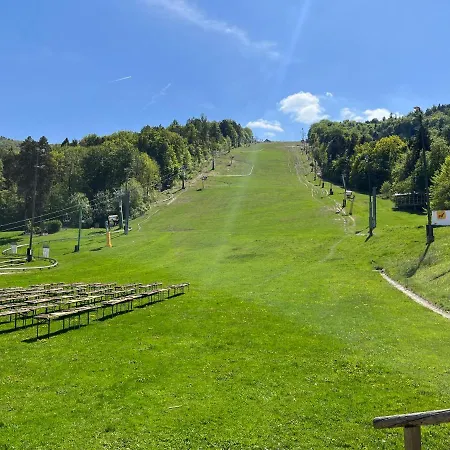 Golden Fox Pohorje *