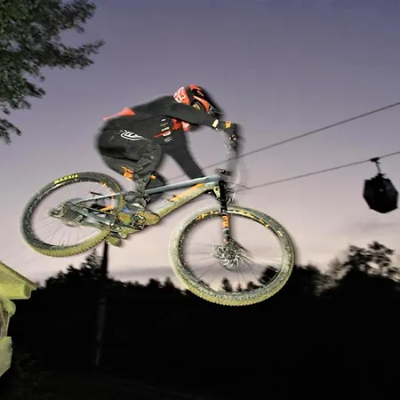 Apartman Golden Fox Pohorje Maribor