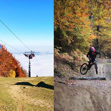 Golden Fox Pohorje * Máribor