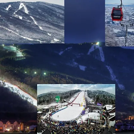 Apartman Golden Fox Pohorje Maribor