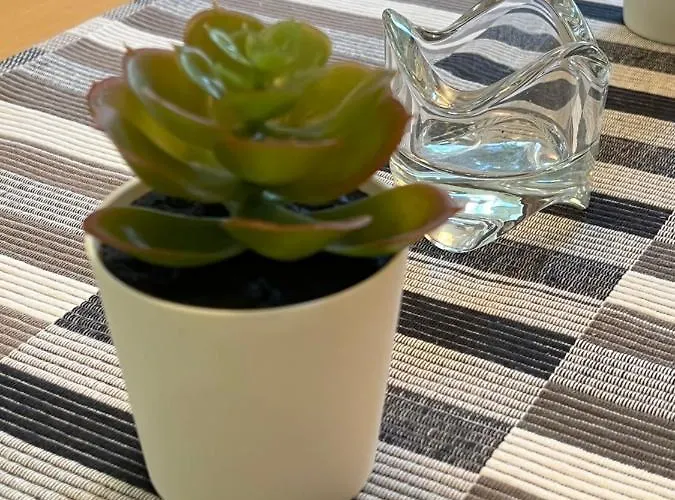 Golden Fox Pohorje *