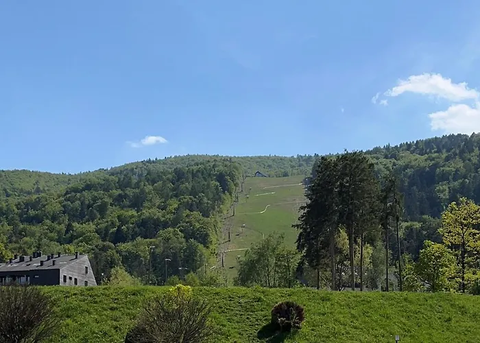 Golden Fox Pohorje アパート *