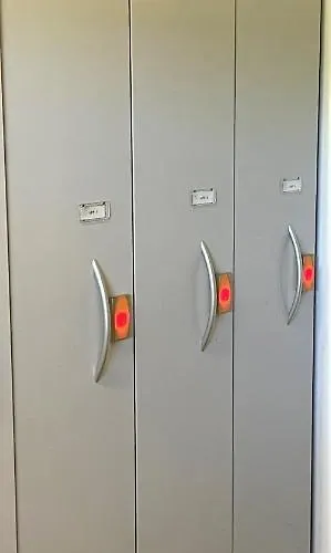 Golden Fox Pohorje *