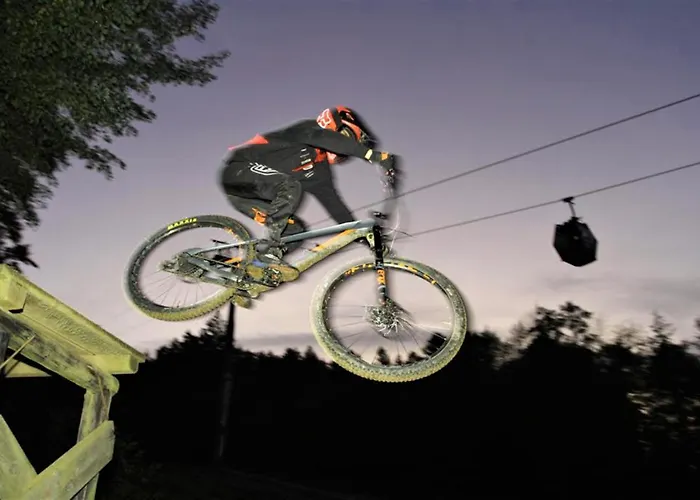 アパート Golden Fox Pohorje マリボル