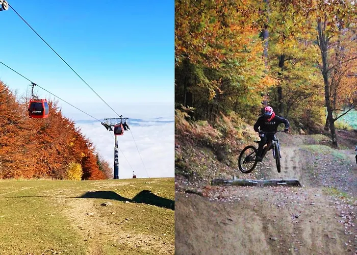 Golden Fox Pohorje * マリボル