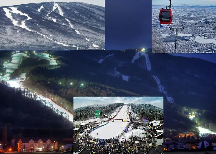 Apartmán Golden Fox Pohorje Maribor